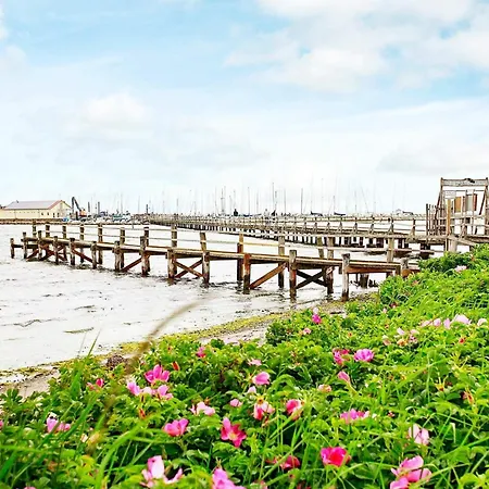 6 Person In Hébergement de vacances